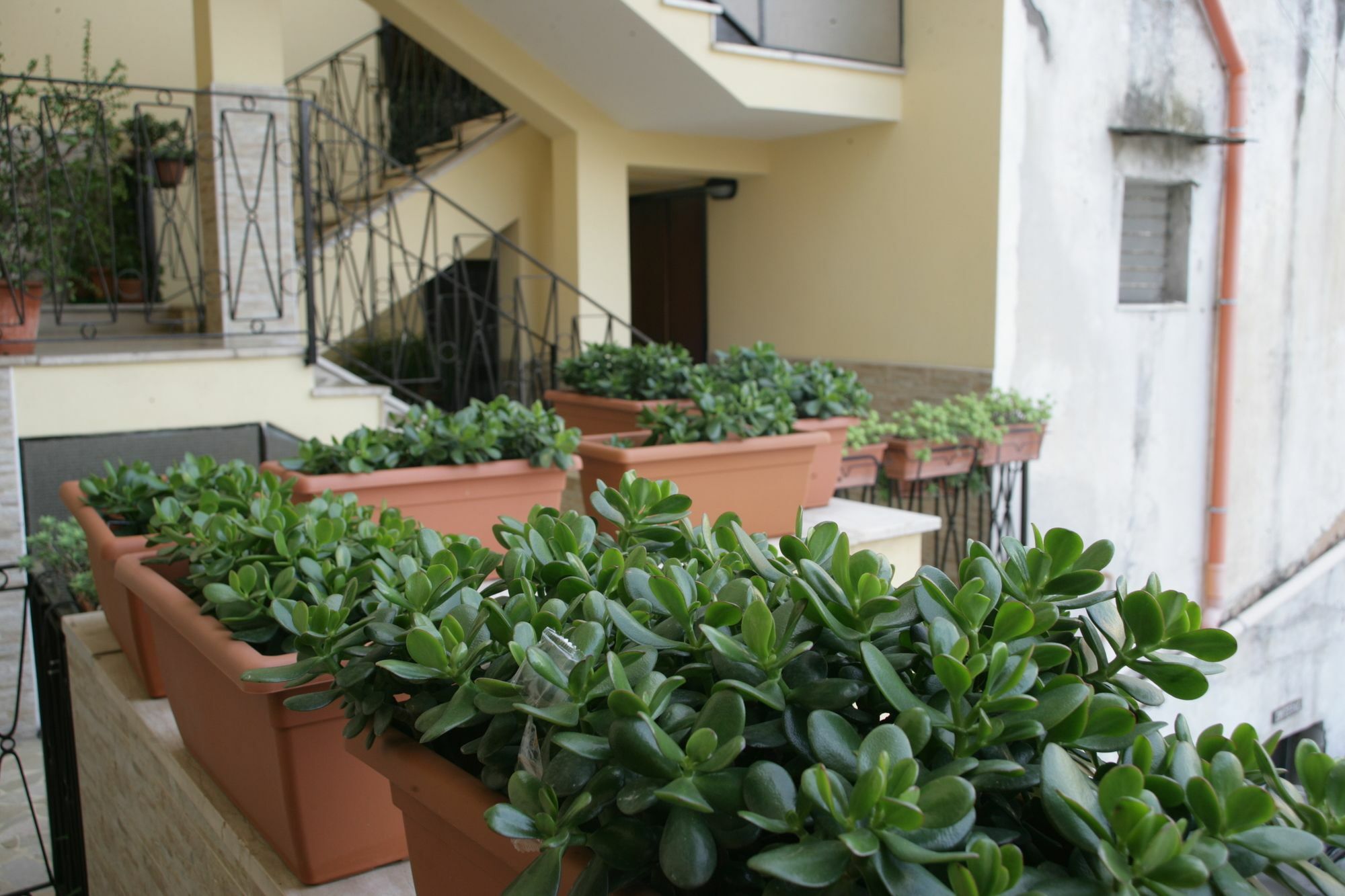 Casa Carmen Apartment Naples Exterior photo